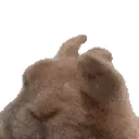 VIBE, the 7TV emote of ITZROBIN